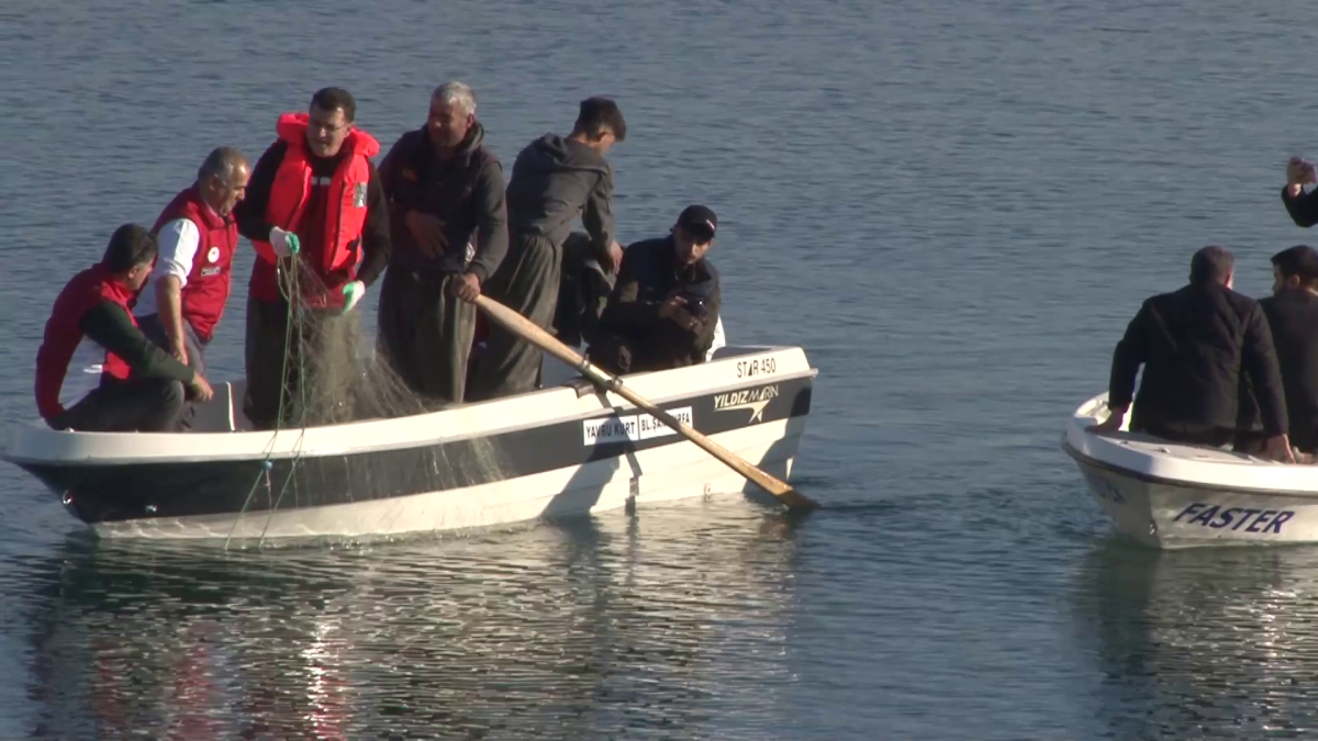 Atatürk baraj gölü hayalet ağlar ve son yılarda görülen istilacı balık türlerinden arındırılıyor. 