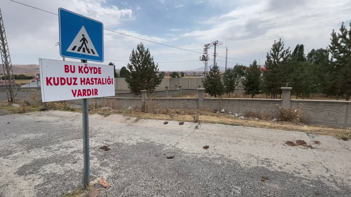 Kars’ta kuduz vakası tespit edildi.