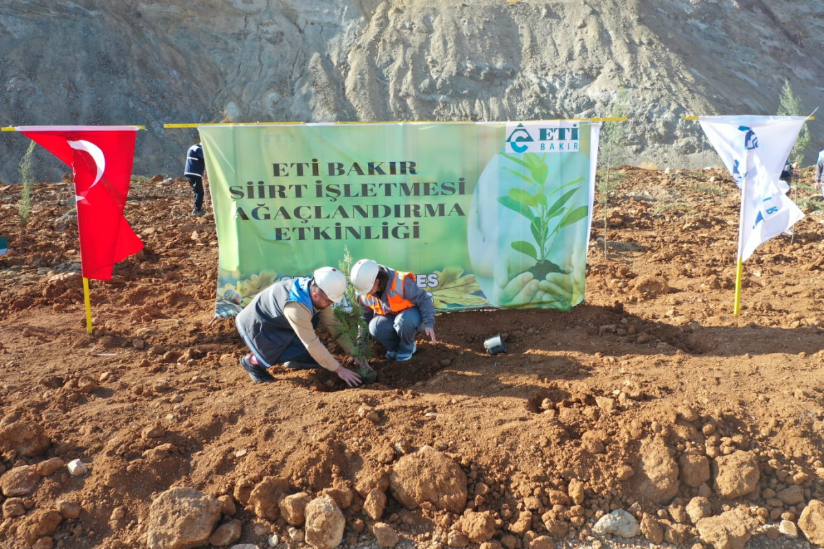 Maden köyü ve Eti Bakır sahasında doğa dostu çalışmalar hız kesmeden devam ediyor . Bu yıl bölgeye 56 bin yeni fidan dikildi