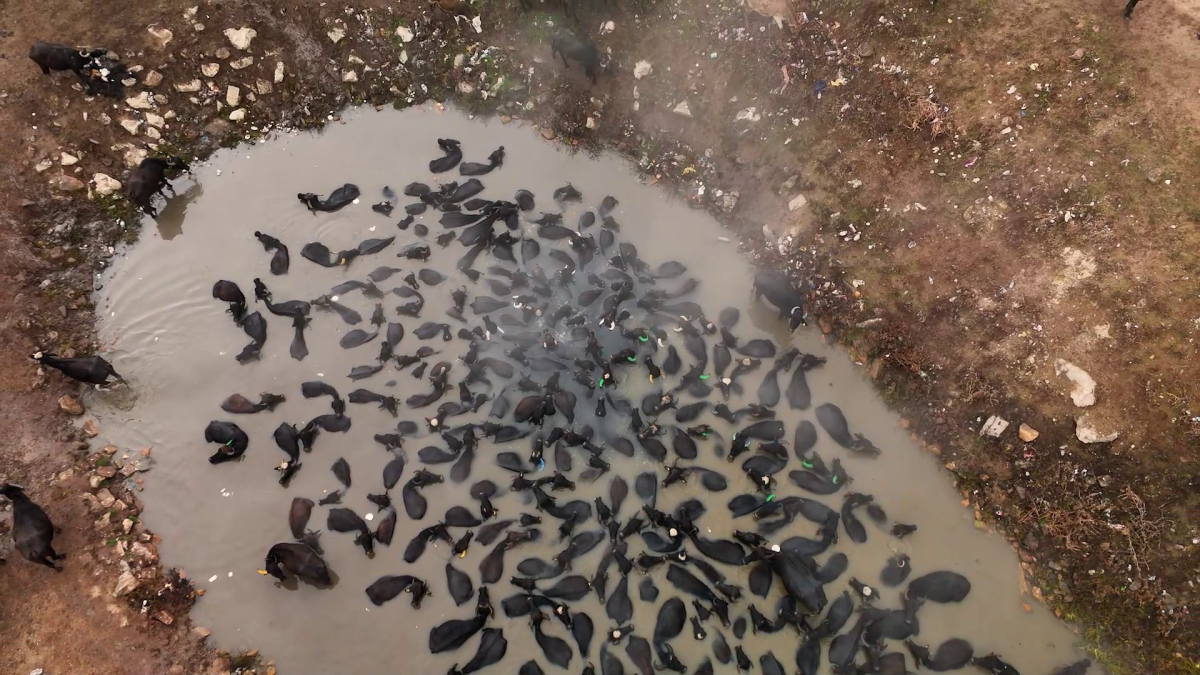 MANDALARIN KAPLICA KEYFİ 