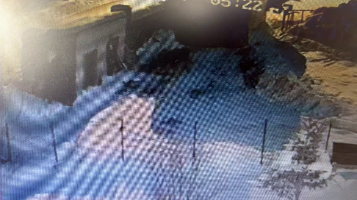  Kars’ta Kurtlar Köpeği Parçaladı Görüntüler Güvenlik Kamerasına Yansıdı.