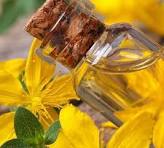 Kantaron yağı neye iyi gelir? Kantaron yağının faydaları nelerdir?