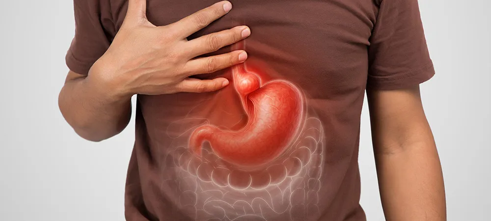 Mide neden kendini eritmez?