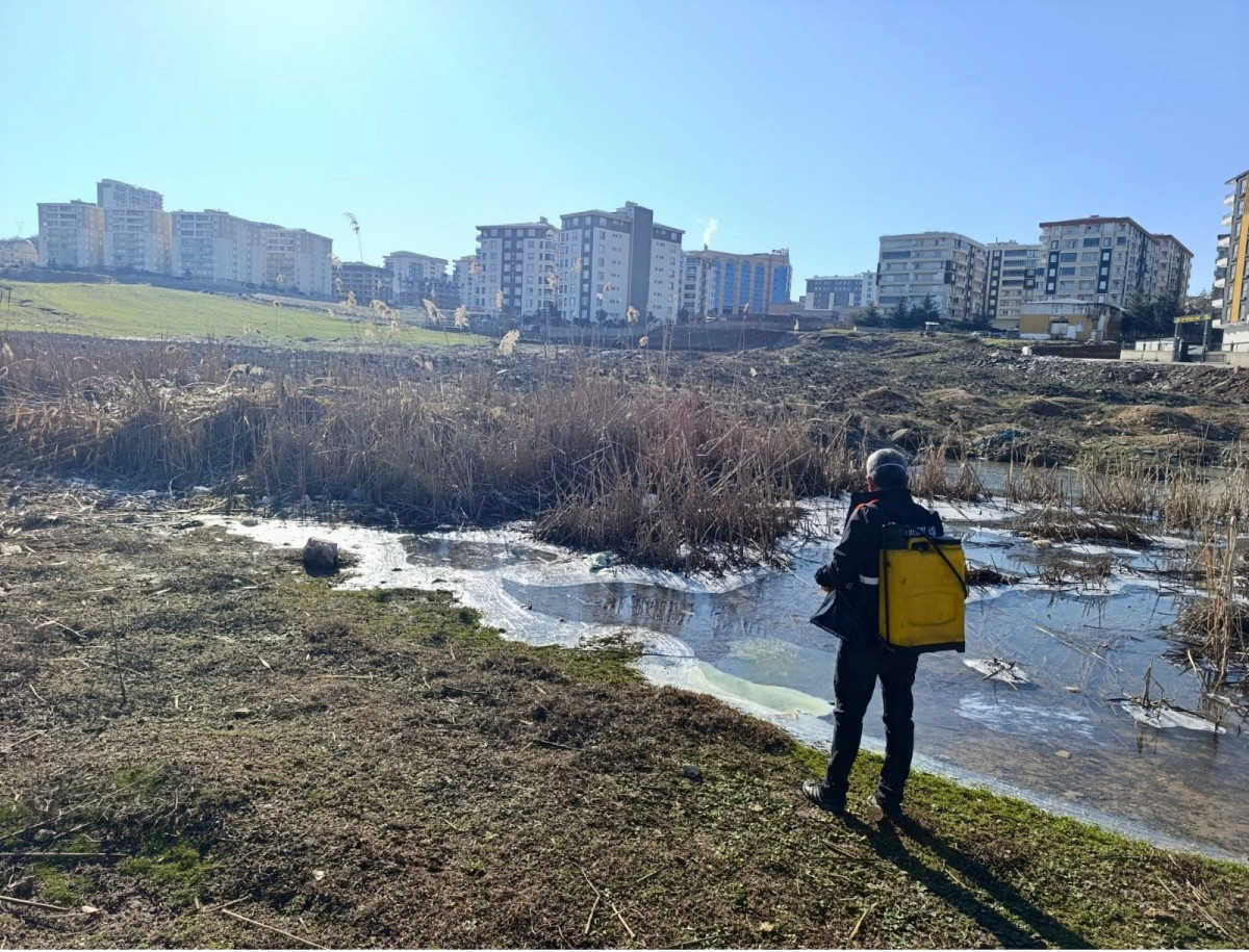 SİİRT BELEDİYESİ LARVA ÖNCESİ KAPSAMLI İLAÇLAMA ÇALIŞMALARI BAŞLATILDI