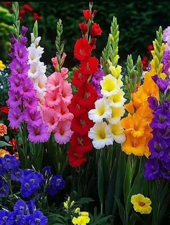 Günün Hasbihal Sohbeti ; Son Nefes