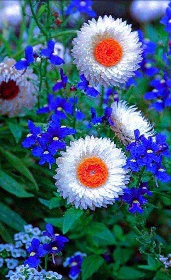 Günün Hasbihal Sohbeti ;  Son Nefes