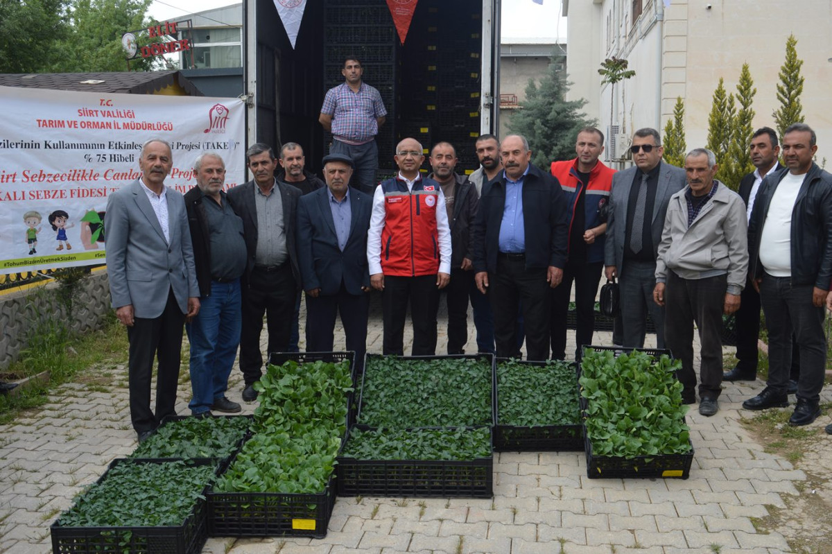 Siirt’te 70 bin sebze fidesi dağıtıldı: TAKEP ile çiftçiye destek