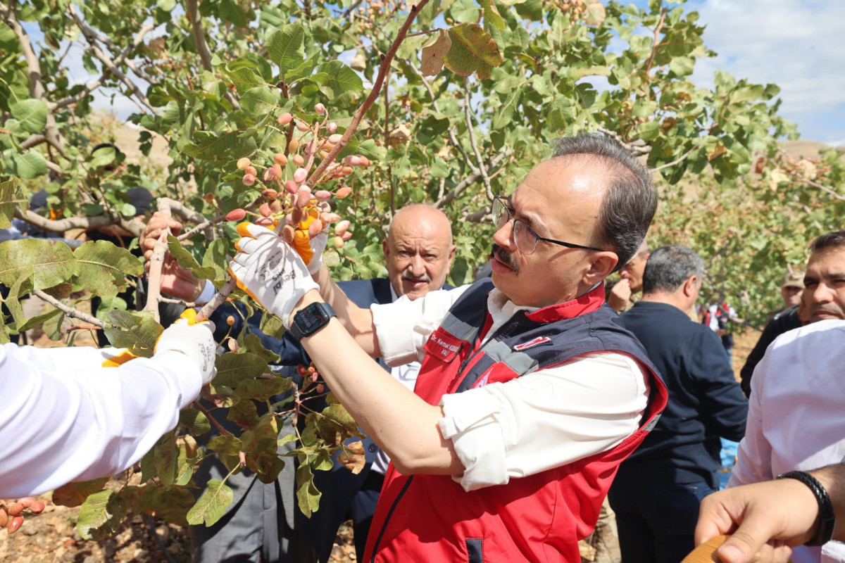 ÜÇÜNCÜ FISTIK FESTİVALİ DÜZENLENDİ
