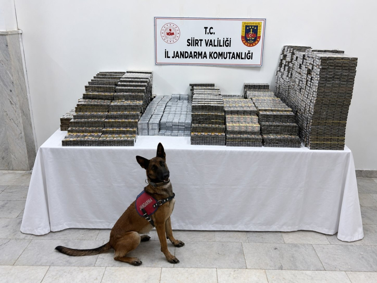 SİİRT’TE 10 BİN 250 PAKET KAÇAK SİGARA ELE GEÇİRİLDİ