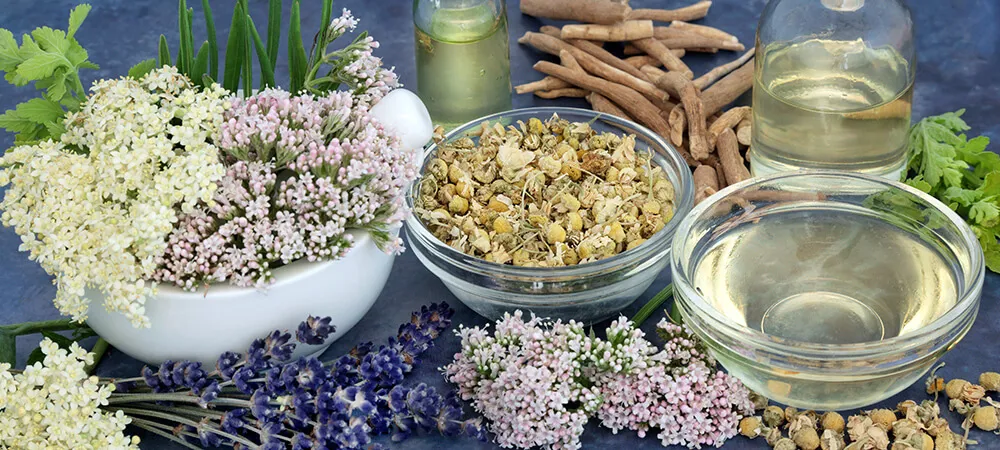 En çok hangi bitki uyku yapar? En hızlı uykuyu ne getirir?