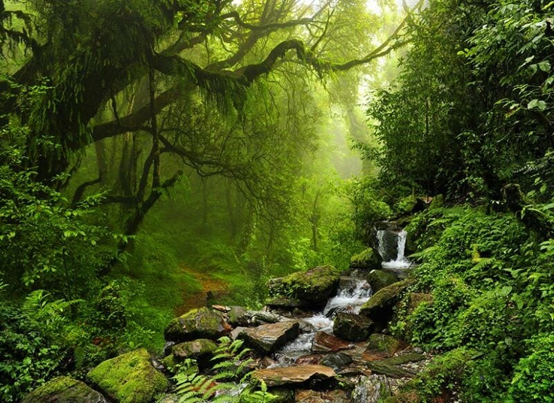 Günün Hasbihal Sohbeti ; Sen Kötülüğü Önle!