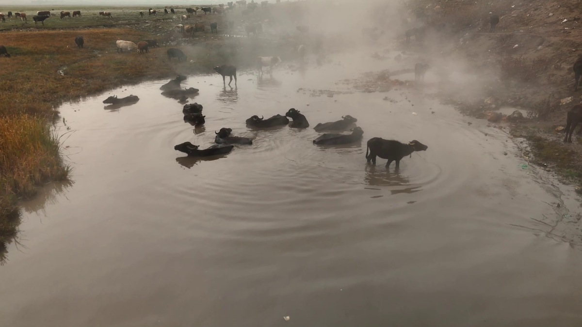 MANDALARIN KAPLICA KEYFİ