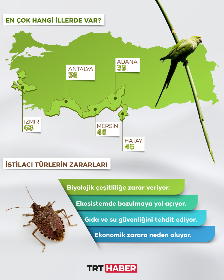 Türkiye’de 177 istilacı tür var