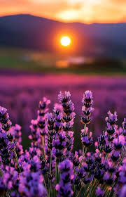 Günün Hasbihal Sohbet ; Kendimizden Aşağıda Olana Baktık mı? 