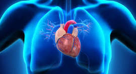 Erkeklerde kalp sağlığı için 35 yaş dönüm noktası oluyor