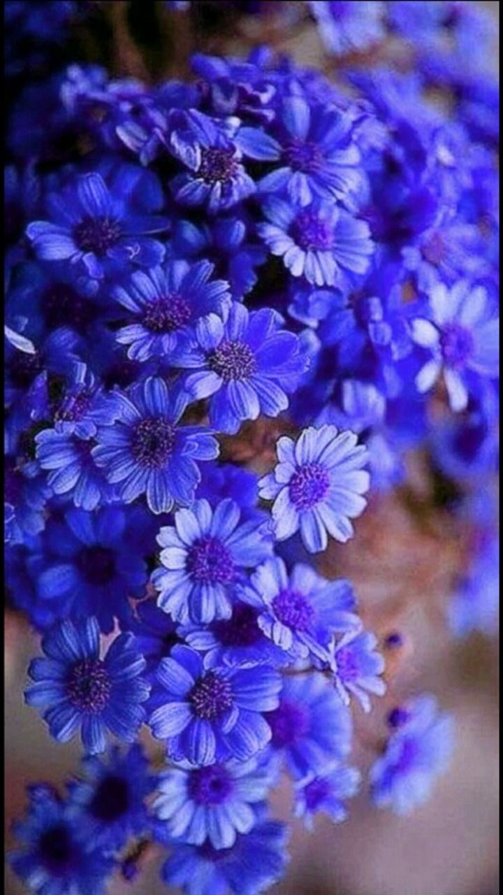 Günün Hasbihal Sohbeti ; Vermenin Miktarı Değil Vicdanı Önemlidir