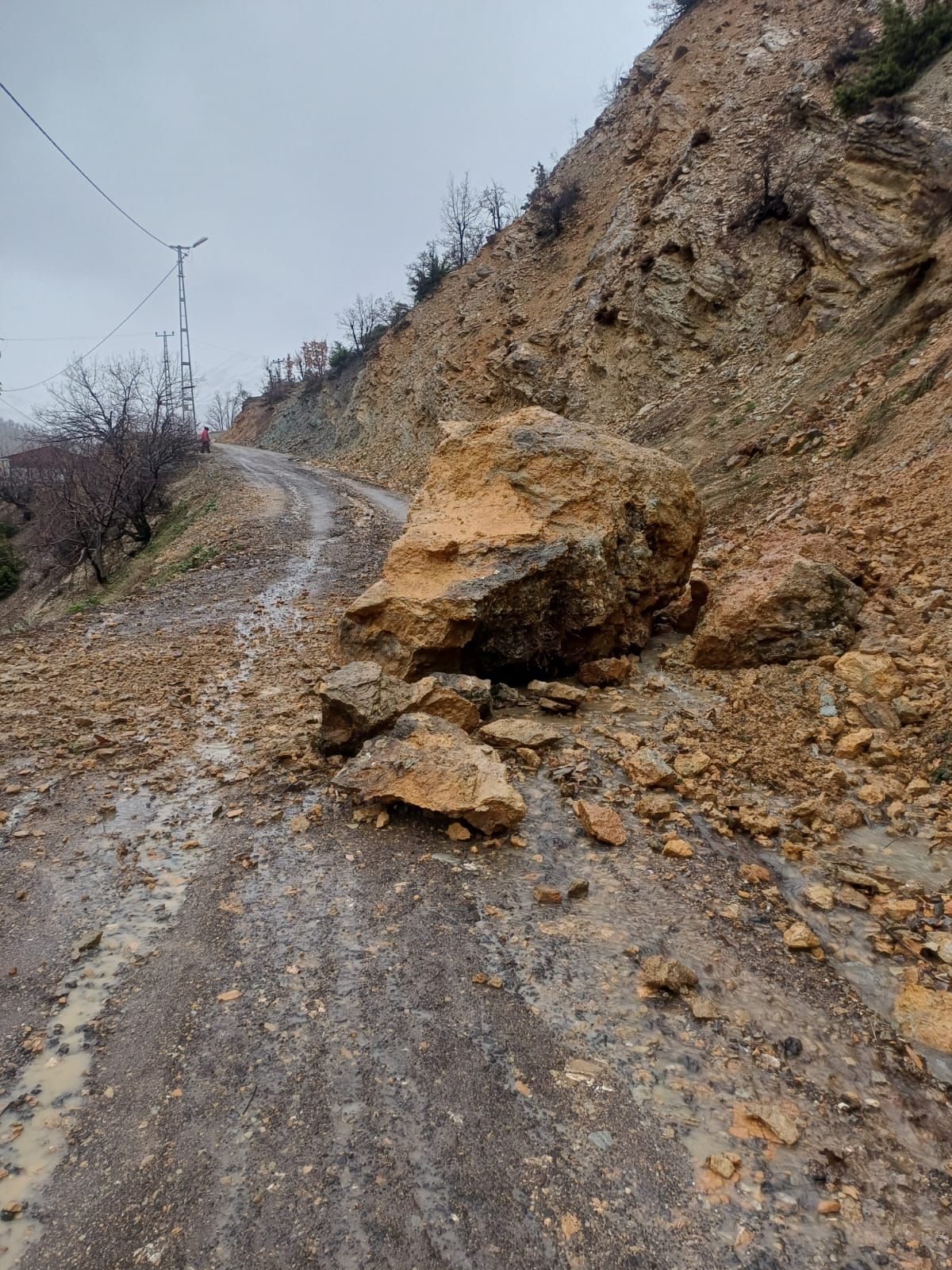 Şiddetli Yağış Siirt’te Etkili Oldu: Ekipler Seferber Edildi