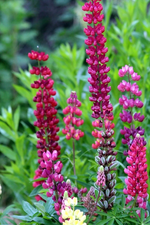 Günün Hasbihal Sohbeti ; Huzur Buluyoruz!