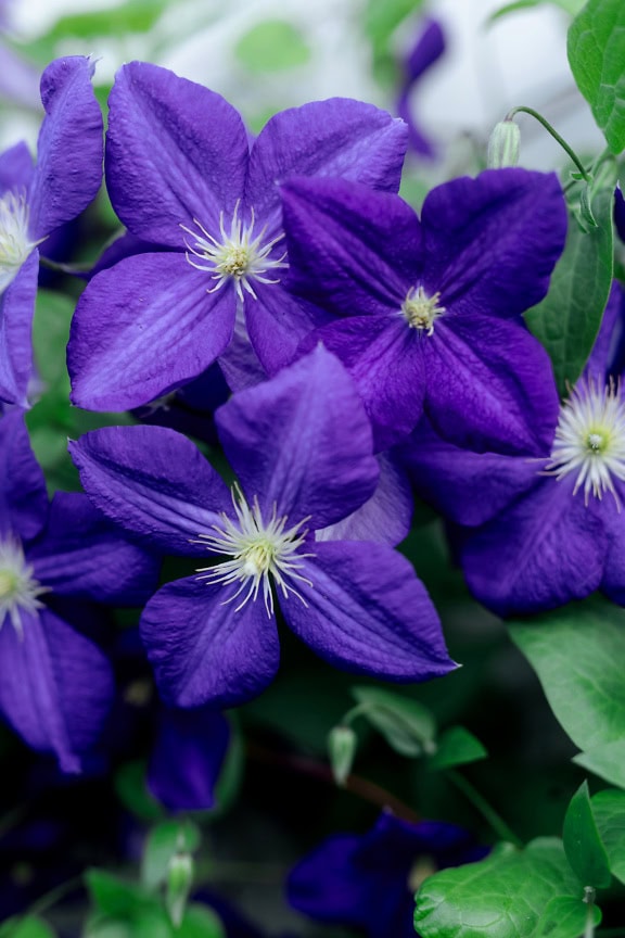 Günün Hasbihal Sohbeti ; Cennet ve Cehennem