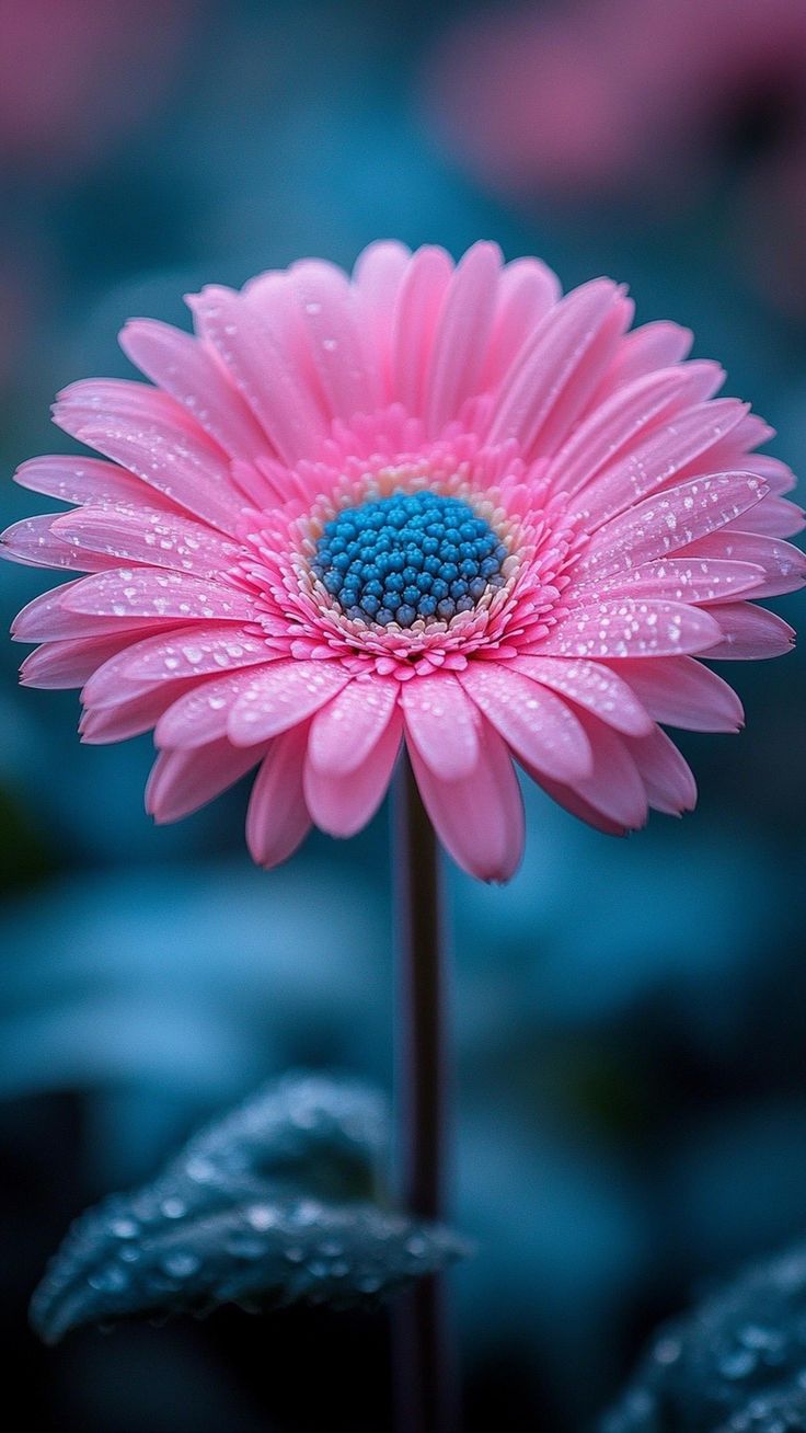 Günün Hasbihal Sohbeti ; İlim Deryası