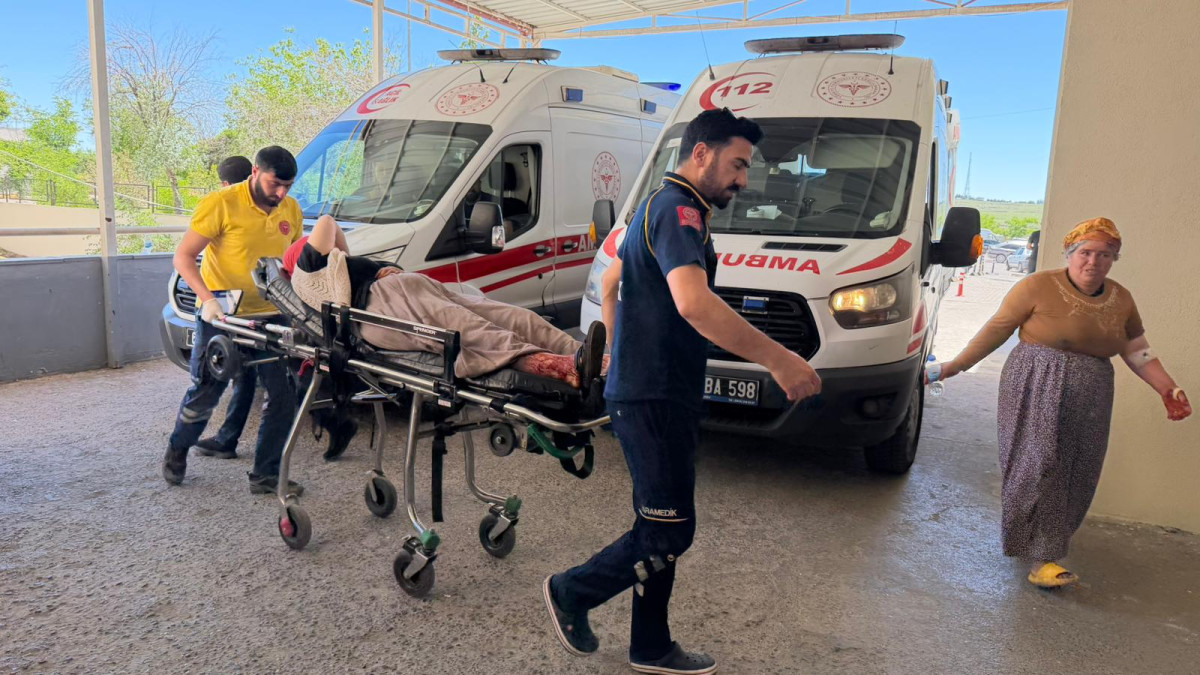 Siverek’te Yılanı Vurmak İsterken 5 Kişiyi Yaraladı